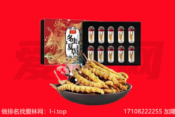 广饶县回收虫草.jpg